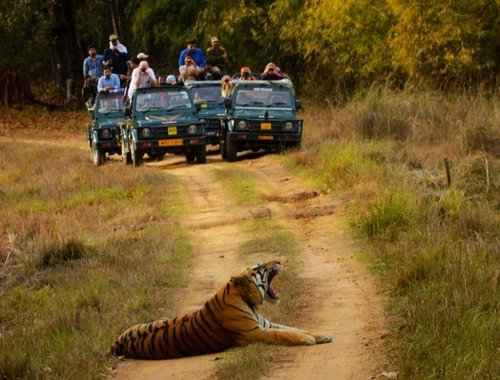 Bandhavgarh National Park